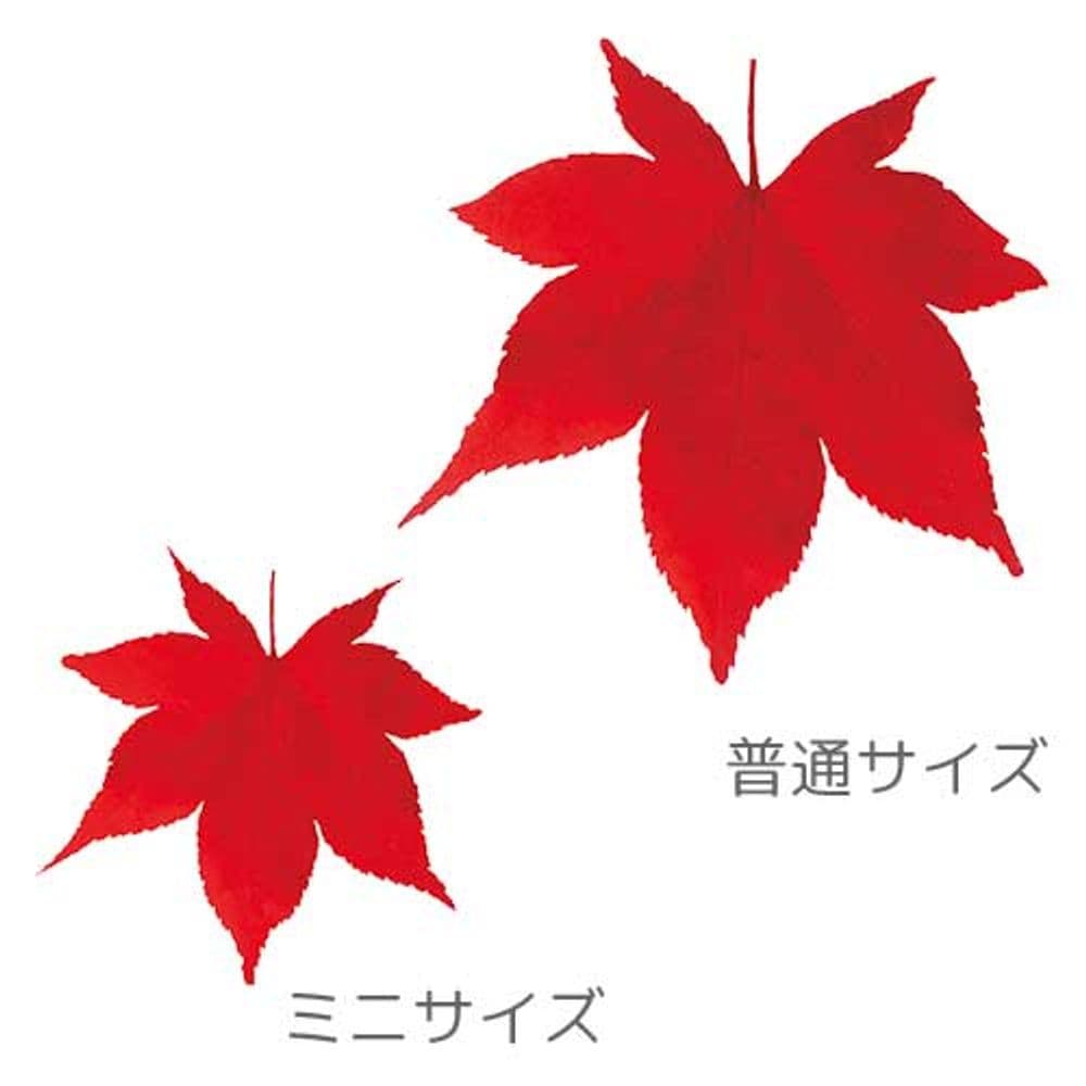 849 Deco comida Momiji
