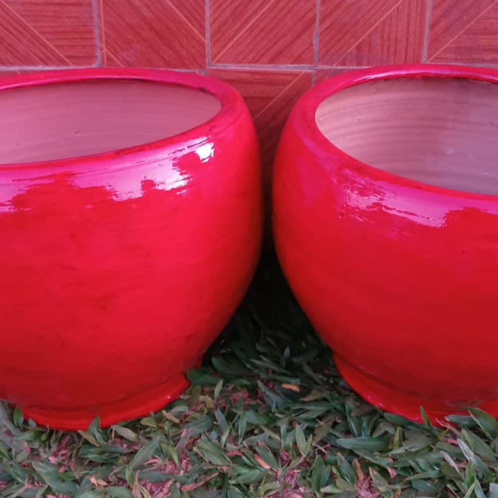 plantera color rojos
