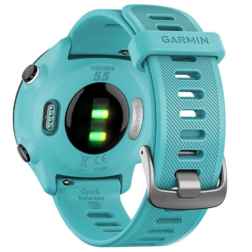 Reloj Garmin Forerunner 55 - Azul