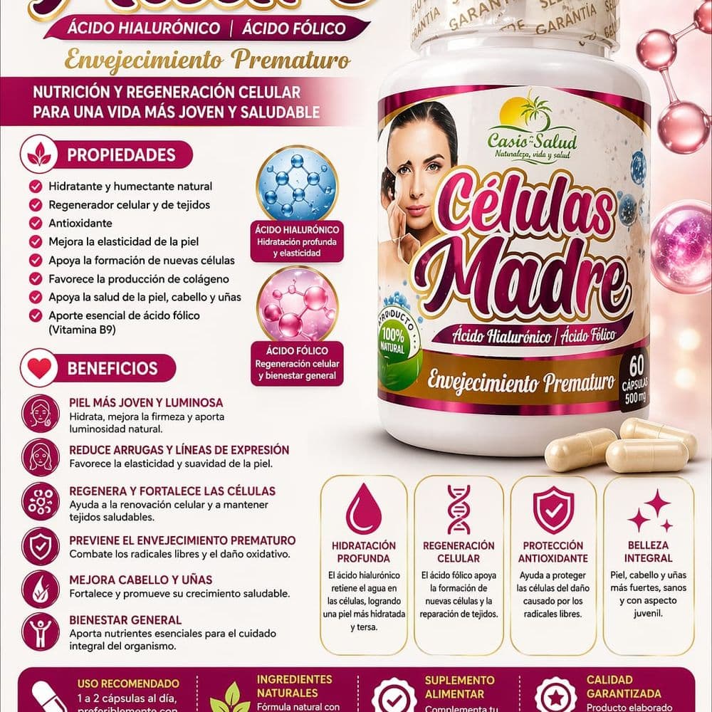 Células madres