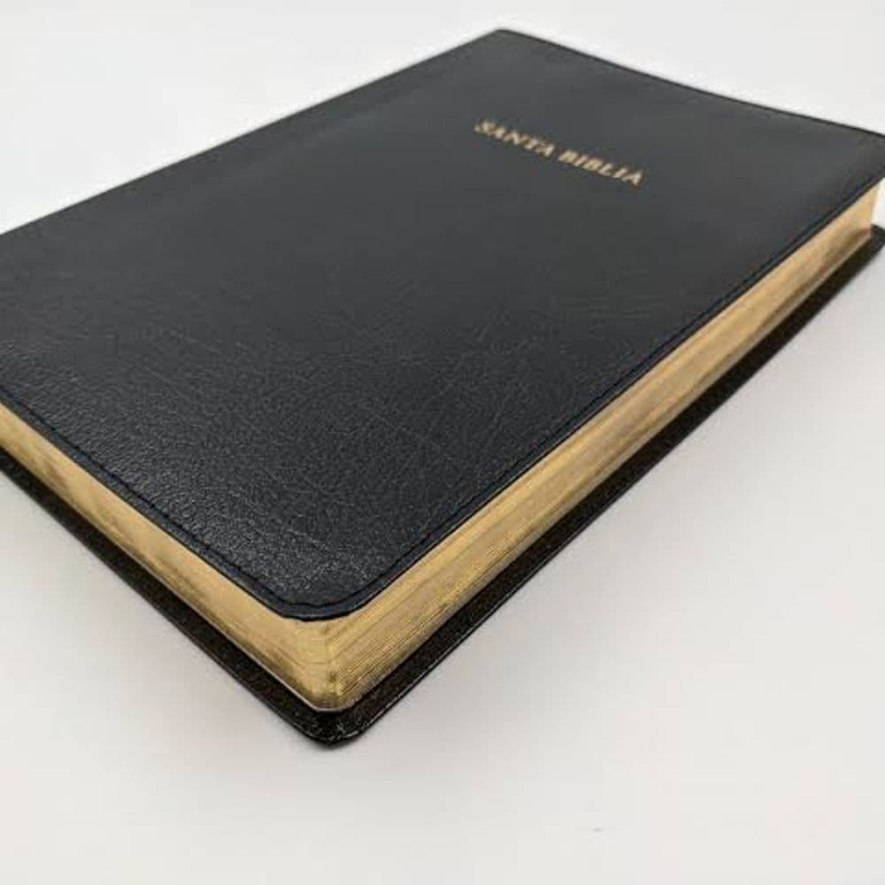 Biblia de Estudio Scofield