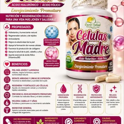Células madres Células madres