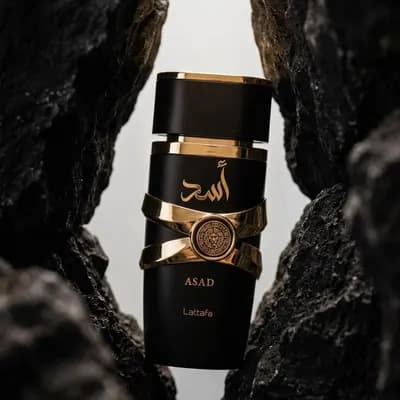 Perfumes Masculinos
