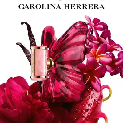 Perfumes Femeninos